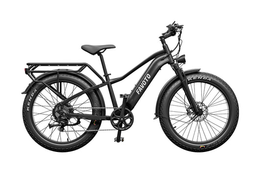 Flurry 2.0 Fat Tire All-Terrain elektrische fiets